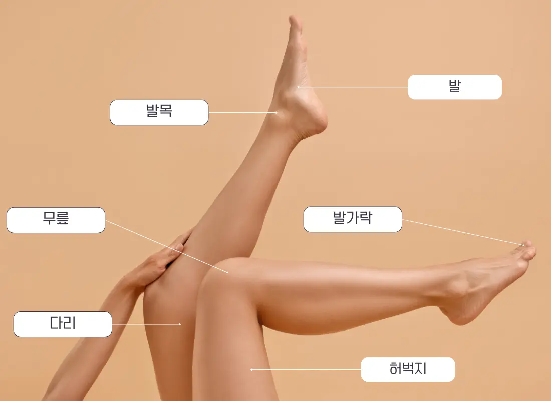 Parts of body name in Korean
