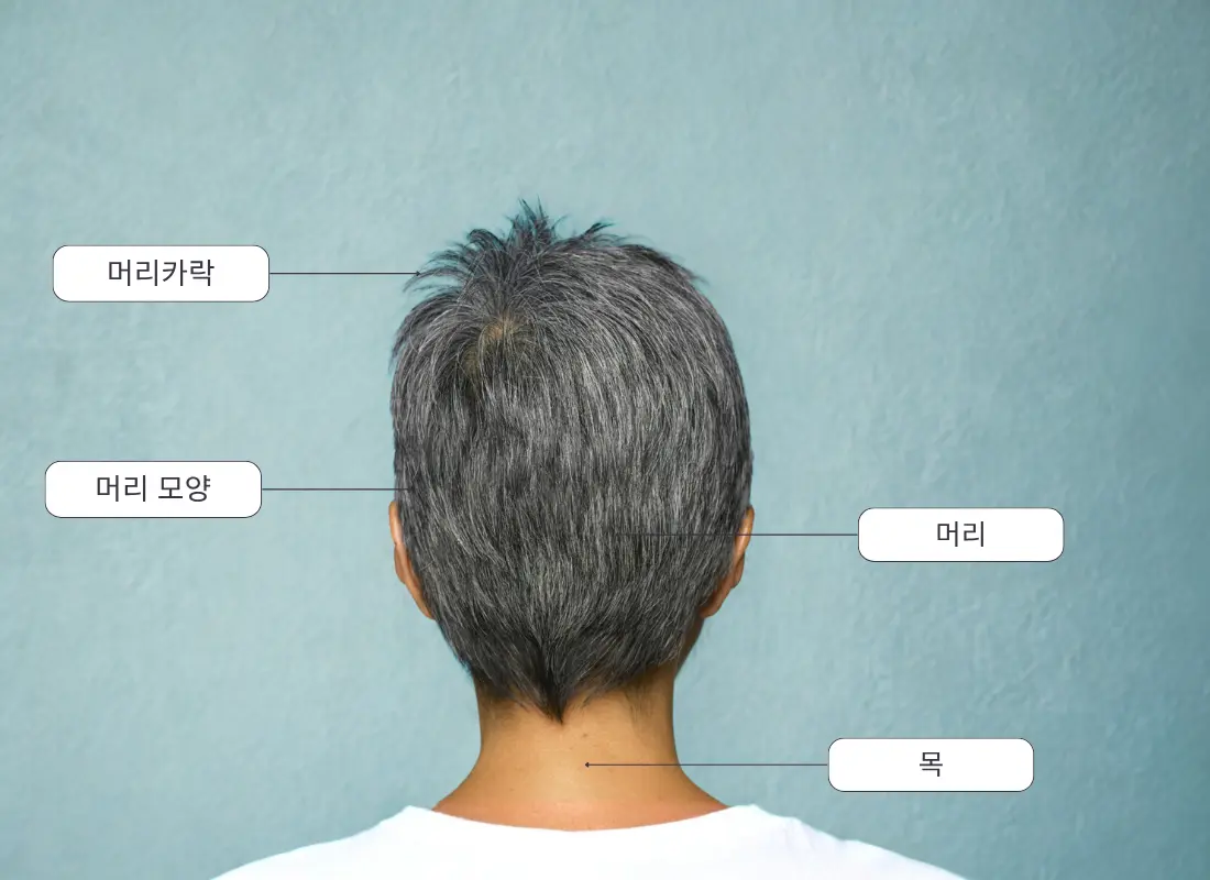 Parts of the body in Korean language