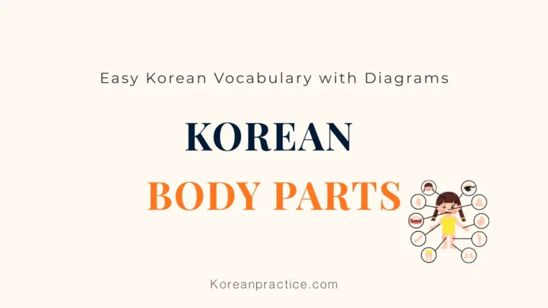 Body Parts in Korean