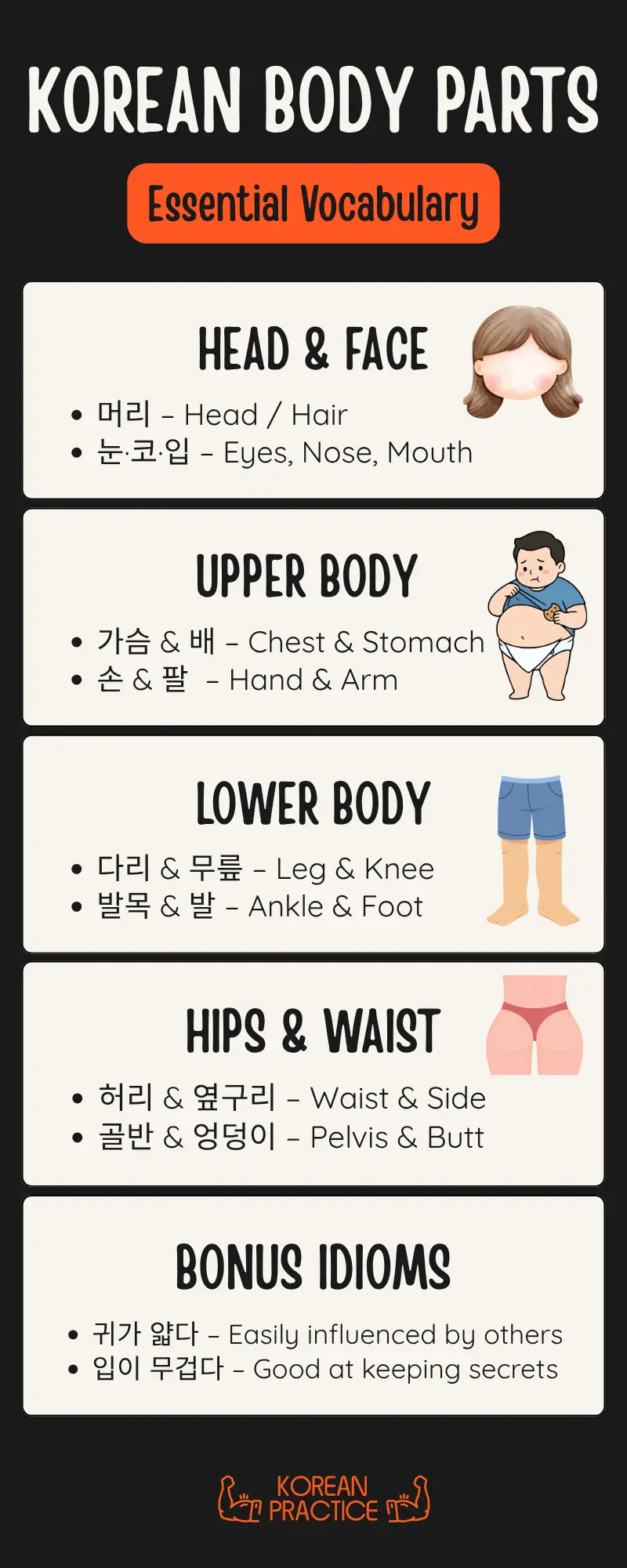 body parts in Korean infographic