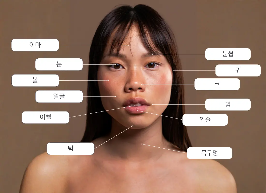 body parts in Korean