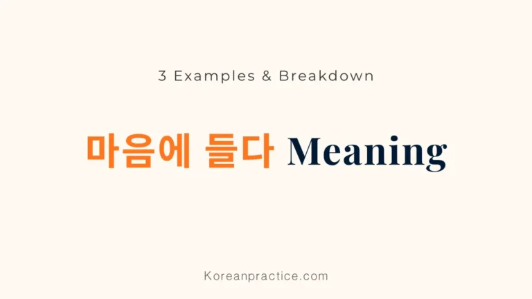 마음에 들다 Meaning in English