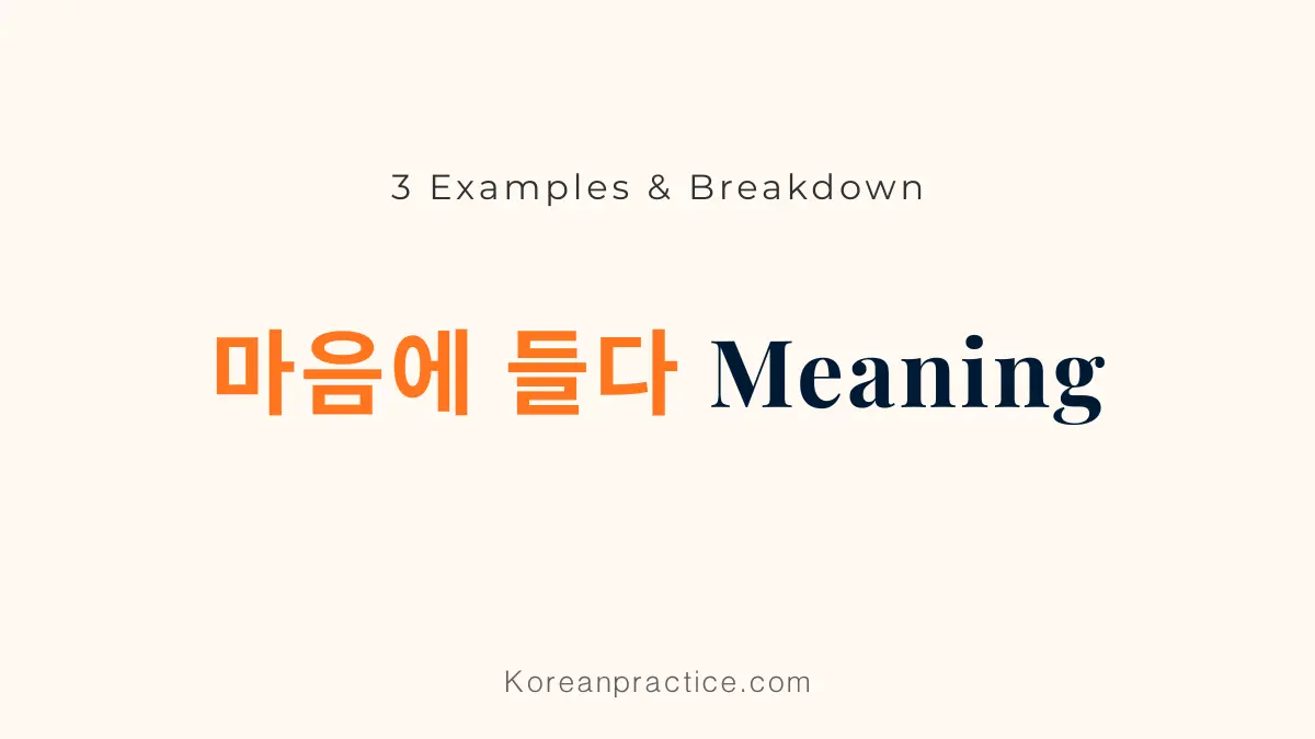 마음에 들다 Meaning in English