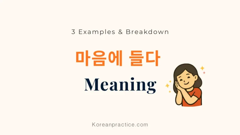 마음에 들다 Meaning with examples