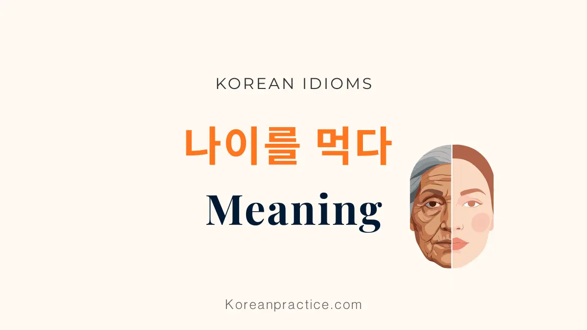 나이를 먹다 meaning in english